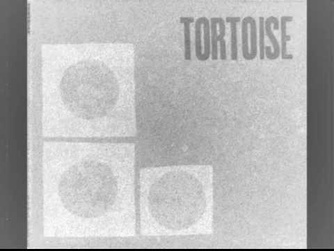 TORTOISE - Onions wrapped in rubber