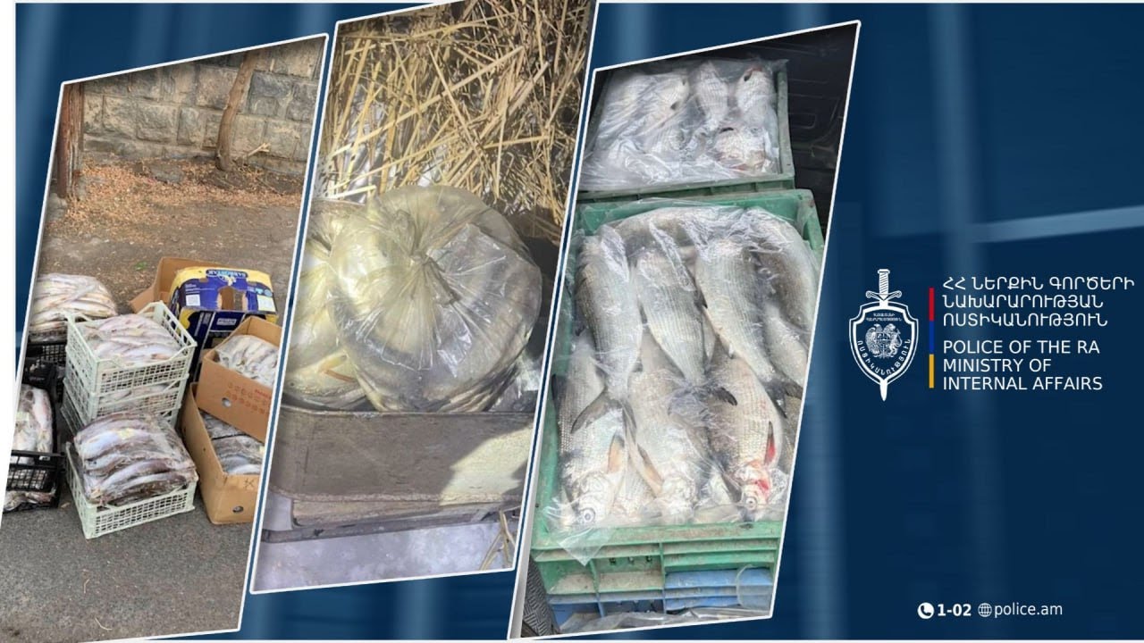 Գեղարքունիքի պարեկները ձկնագողության դեպքեր են բացահայտել