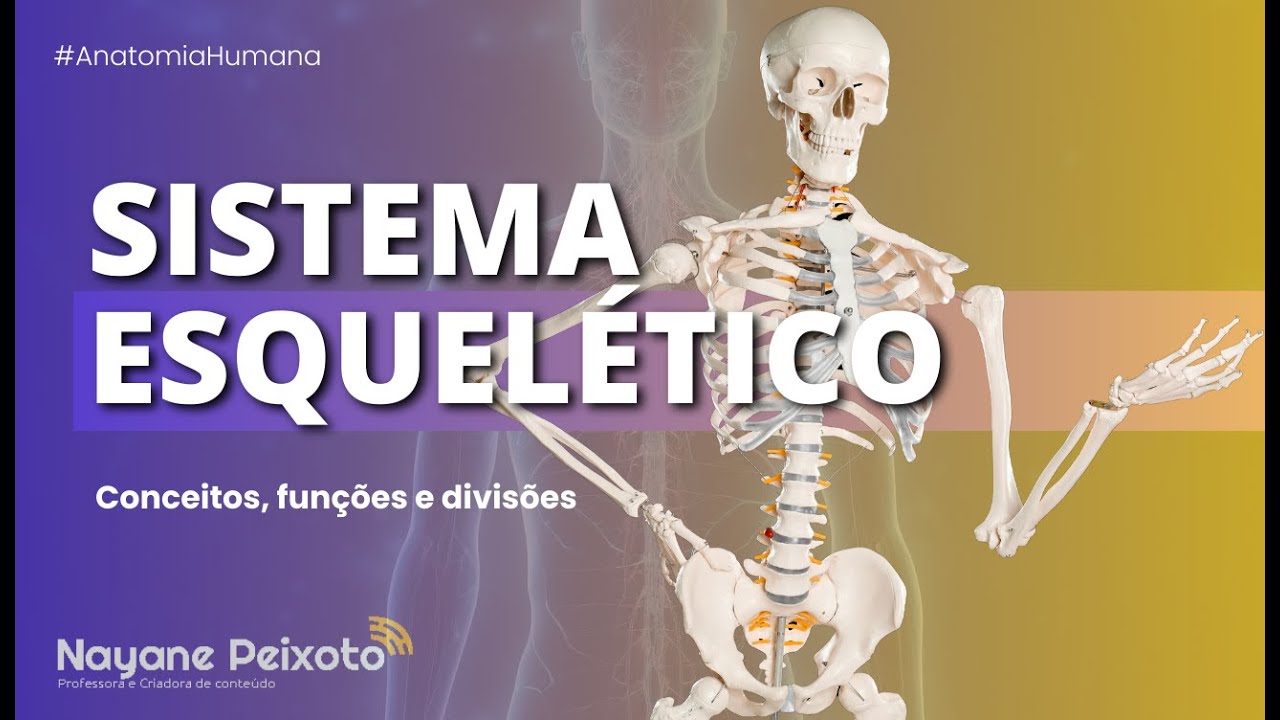 #1 Sistema Esquelético [Conceitos, funções e divisão do esqueleto]