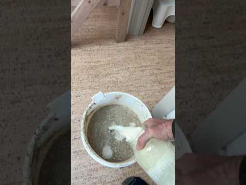 Waste to Feed: Justin Rhodes' DIY Chicken Feed System