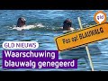 GLD Nieuws 11 september 2023