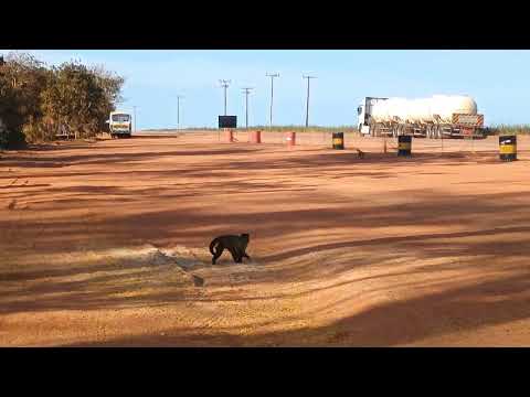 Natureza incrível 