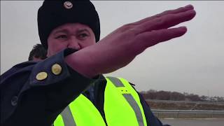 ОСТОРОЖНО!!! Скотина на перекрёстке!