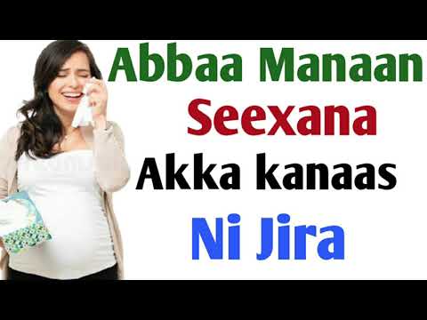 Abbaa Manaan Seexana Akka Kanaas Ni Jira
