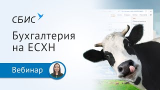 Как легко вести бухгалтерский учет на ЕСХН в СБИС