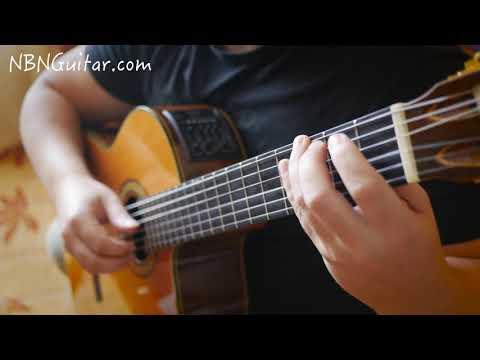 Waltz in E minor | Ferdinando Carulli | NBN Guitar