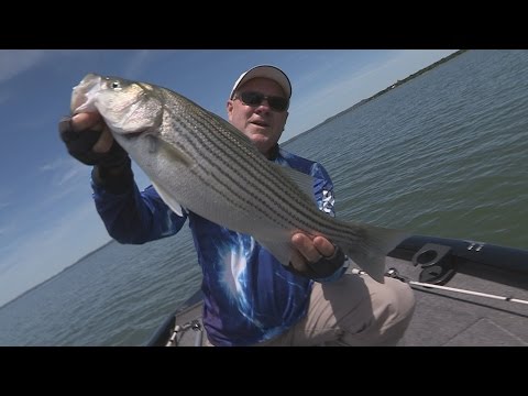 download lagu mp3 mp4 Lake Buchanan Fishing Report, download lagu Lake Buchanan Fishing Report gratis, unduh video klip Lake Buchanan Fishing Report