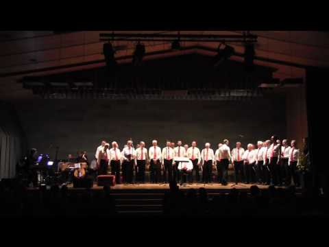 Männerchor Höngg Konzert Mai 2017 Teil 1
