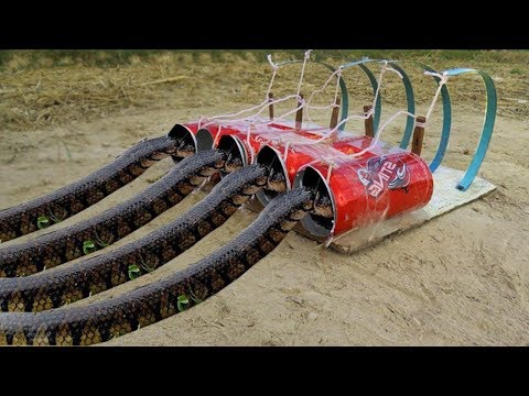 Easy Snake Trap Using from Hacksaw & coca cola can - Simple DIY Creative Snake Trap That Work 100%