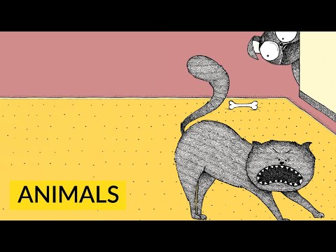 Maitreya Bapat Storyweaver Children story hindi voice over