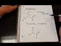 Organic Chemistry Functional Groups: Amides