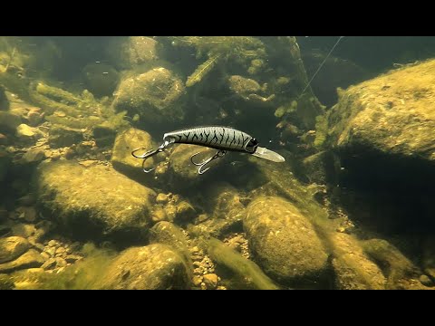 Lure Masterclass: Realis Fangbait 100DR - How To