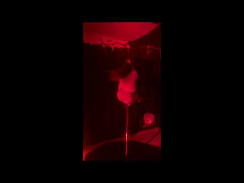 Fusion 2025 Entry, Anna Shleyeva ( eye.shi), Exotic, Profession