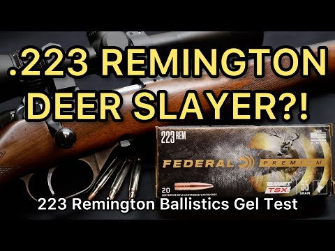 .223 DEER SLAYER!? 223 Remington Federal Premium Barnes TSX 55gr Ammo Test