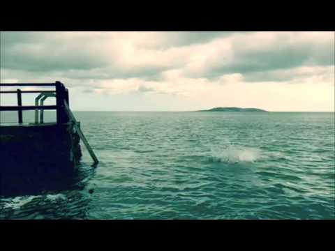 Seals Club: We can Fly