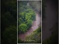 Amazon Rainforest Full Screen Whatsapp Status Natural 4k Full Screen Whatsapp Status Amazon Jungal