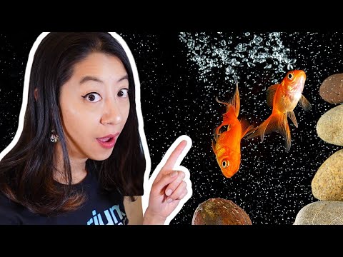 YouTube video about: Are bubbles in a fish tank bad?