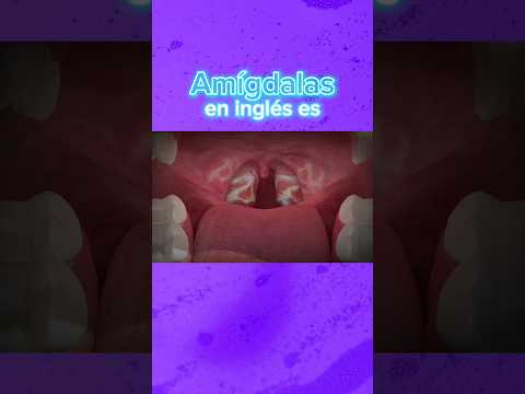 AMÍGDALAS  EN INGLÉS | Interpretación Consecutiva Medica