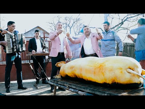MITA DE LA BALS SI CATALIN DE LA BALS "POMANA PORCULUI" ♪ (Muzica de Petrecere) 2023