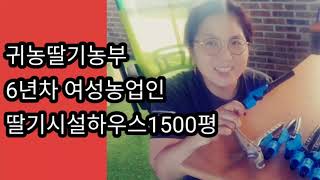 전라북도 김제 딸기스마트팜 귀농 6년차농부 양액밸브교체 쉽게할수있어요.