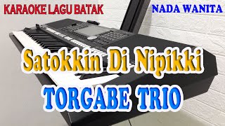 Download lagu SATOKKIN DI NIPIKKI [KARAOKE BATAK] TORGABE TRIO ll NADA WANITA F=DO mp3