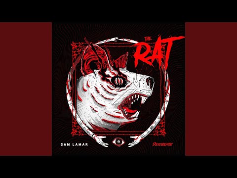 The Rat