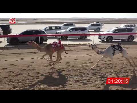ش 4 (رايق) لـ غدير عوض رويشد النيادي 2:14:56 ، شارة الصندوق 2026/02/13 فطامين الوثبة