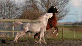 "Windsplitter" from the album "Space Jazz".