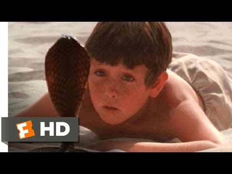 The Black Stallion (6/11) Movie CLIP - The Cobra (1979) HD