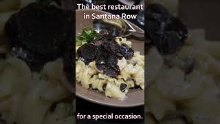 OVEJA NEGRA | Best Restaurant in Santana Row for a Special Occasion