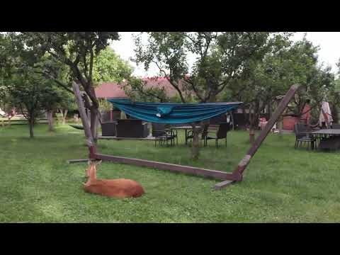 Andra's House Horezu - Atmosfera