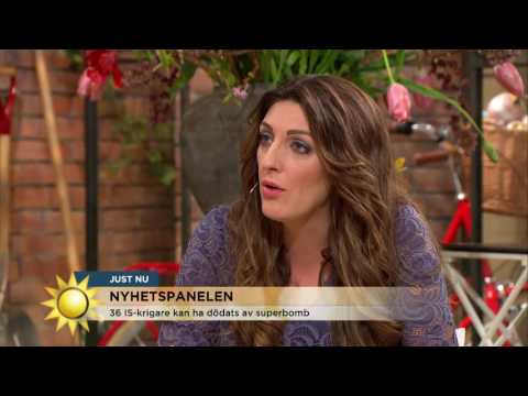 "IS kan inte bekämpas med bomber" - Nyhetsmorgon (TV4)
