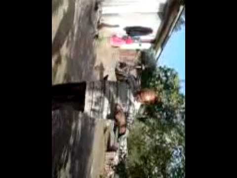 galici de la marzanesti