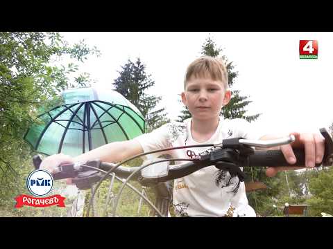 Коля ищет маму || 22.06.2026 видео