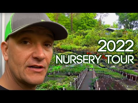 GreenDreams Nursery Update + Tour! || Spring 2022