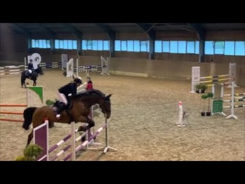 13yo allround gelding with girl