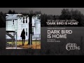 The Tallest Man On Earth - Dark Bird Is Home 