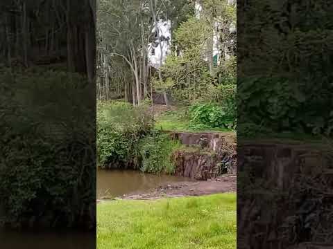 parque da pedreira em Mandaguari parana