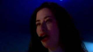 Peter Gabriel - Animal Nation