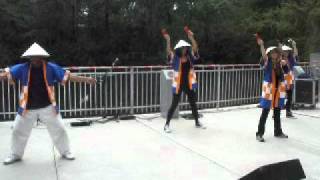 Yosakoi Bushi -- UF Japanese Club 春祭り (Spring Festival)