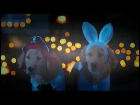 B-Dawg the Magnificent Part 15 - Mousey Takes Control/Scorch!