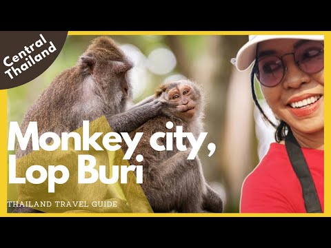 Monkey City | LopBuri | Tailândia | Tailândia viagem de um dia