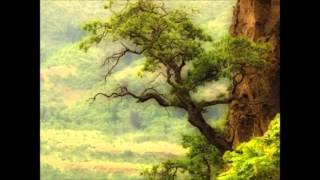 Within Temptation-Never Ending Story