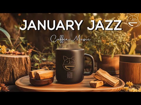 Happy Morning Jazz | December Coffee Music | Relaxing Jazz & Bossa Nova Piano for Relax, Good Mood