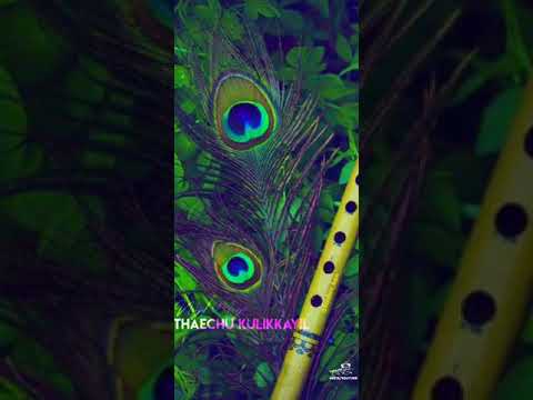 kurukku chiruthavale💞🥰#AR Rahman