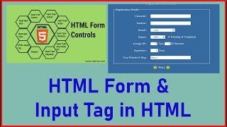 HTML Form and Input Tags in HTML