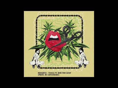 Budguy$ - Te$$a ft. Rob the goat (prod. by LuvSoRare)