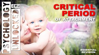 Bowlby's Critical Period of Attachment - a rule for secure attachment? - Developmental Psychology
