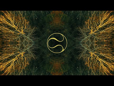 DEKEL & Modus - Golden Hour