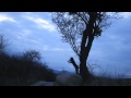 Places - Lou Doillon 